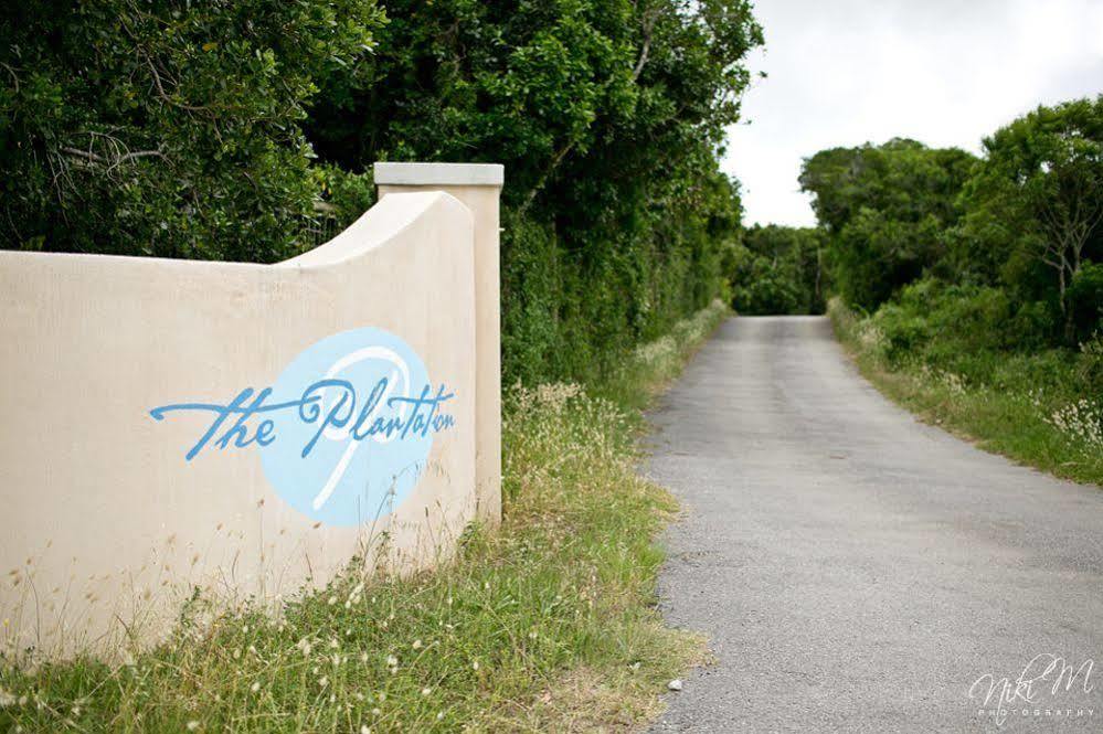 The Plantation Bed & Breakfast Port Elizabeth Ngoại thất bức ảnh